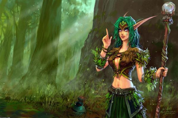 魔兽世界公会商人具体位置及购买物品 魔兽世界公会商人具体位置及购买物品(图1)